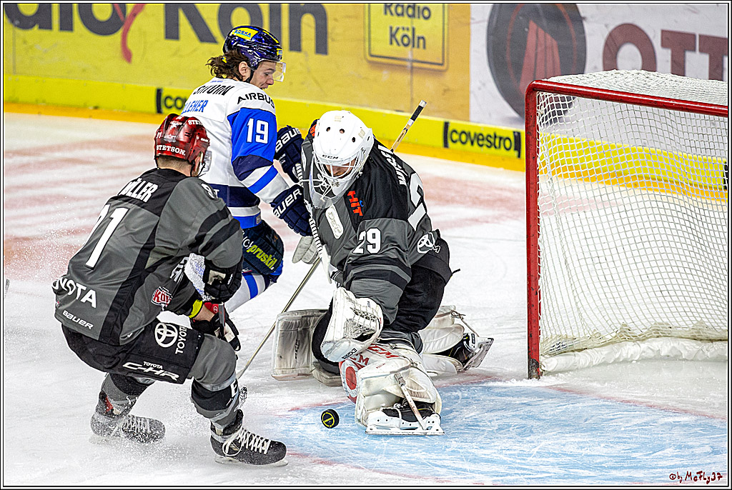 DEL-Playoff; Koelner Haie - ERC Ingolstadt, 12.03.2019